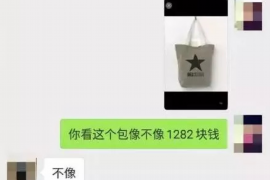 宜宾为什么选择专业追讨公司来处理您的债务纠纷？